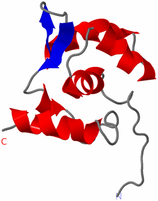 Image NMR Structure - model 1