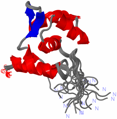 Image NMR Structure - all models