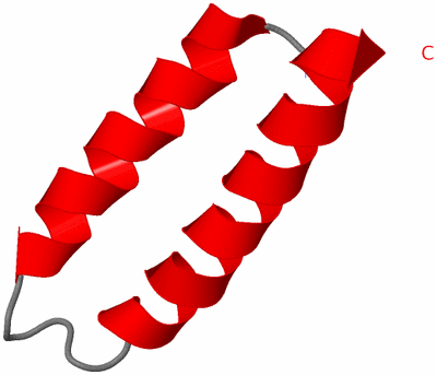 Image NMR Structure - model 1