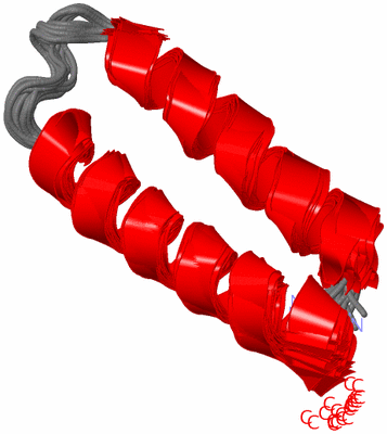 Image NMR Structure - all models