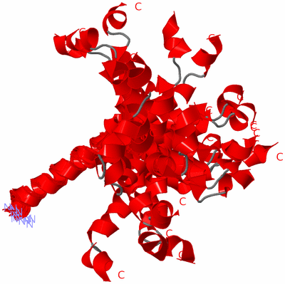 Image NMR Structure - all models