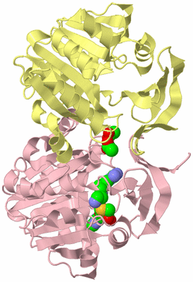 Image Biological Unit 2