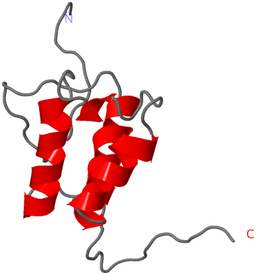 Image NMR Structure - model 1