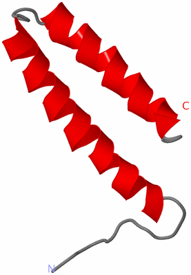 Image NMR Structure - model 1