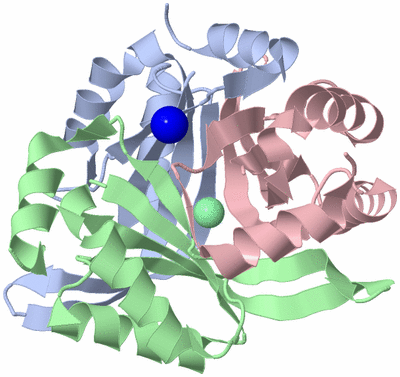 Image Asym./Biol. Unit