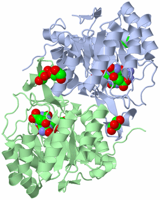 Image Asym./Biol. Unit