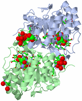 Image Asym./Biol. Unit - sites