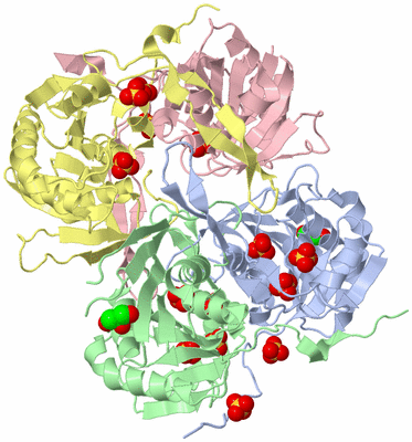 Image Biological Unit 1