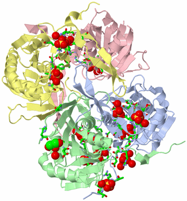 Image Biol. Unit 1 - sites