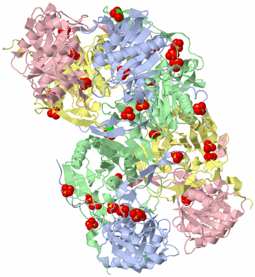 Image Biological Unit 3