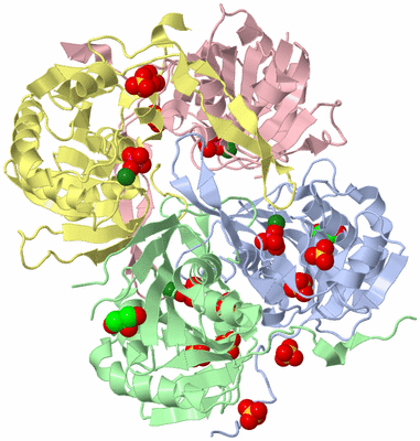 Image Biological Unit 1