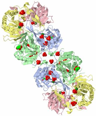 Image Biological Unit 2