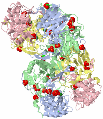 Image Biological Unit 3