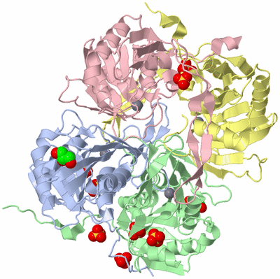 Image Asym./Biol. Unit