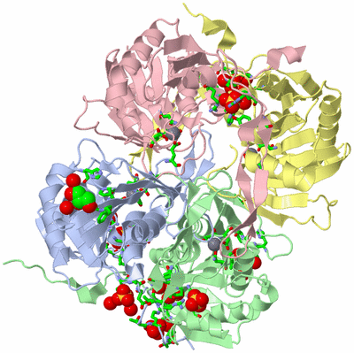 Image Asym./Biol. Unit - sites