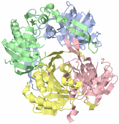 Image Asym./Biol. Unit