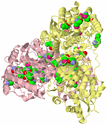 Image Biological Unit 2