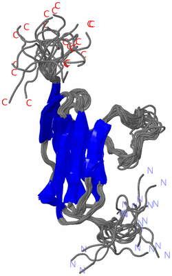 Image NMR Structure - all models