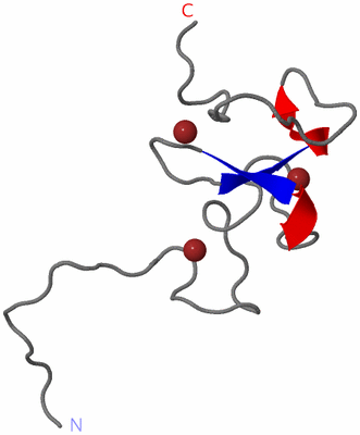 Image NMR Structure - model 1