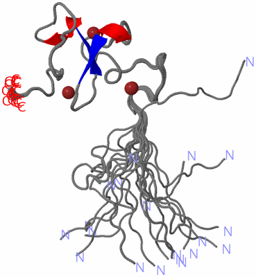 Image NMR Structure - all models