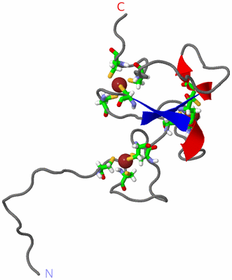 Image NMR Structure - model 1, sites