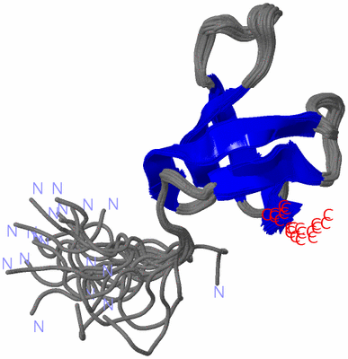 Image NMR Structure - all models