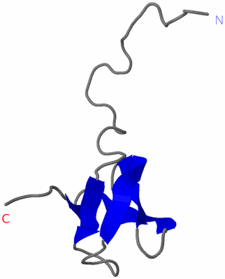 Image NMR Structure - model 1