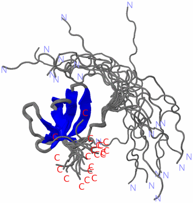 Image NMR Structure - all models