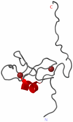 Image NMR Structure - model 1