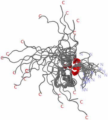 Image NMR Structure - all models