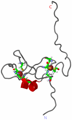 Image NMR Structure - model 1, sites