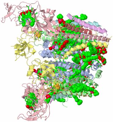 Image Biol. Unit 1 - sites