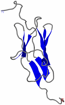 Image NMR Structure - model 1