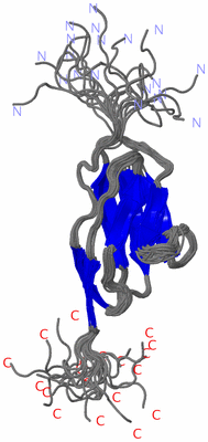 Image NMR Structure - all models