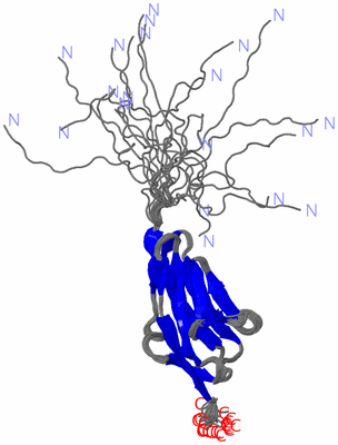 Image NMR Structure - all models