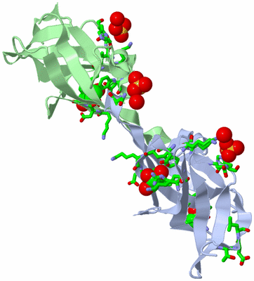 Image Asym. Unit - sites