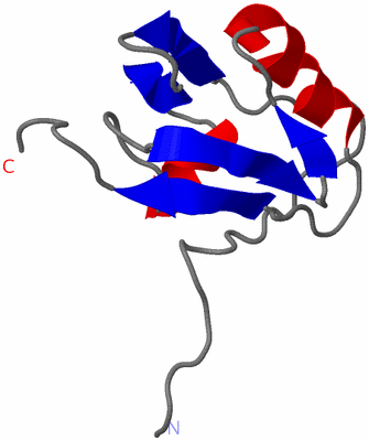 Image NMR Structure - model 1