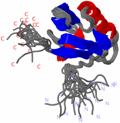 Image NMR Structure - all models