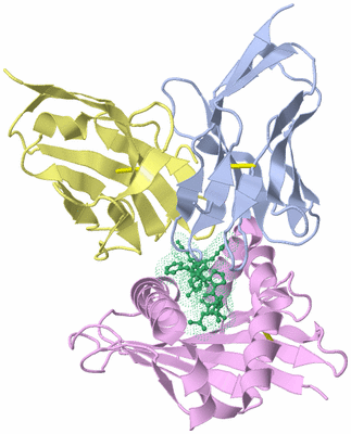 Image Biological Unit 1