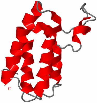 Image NMR Structure - model 1