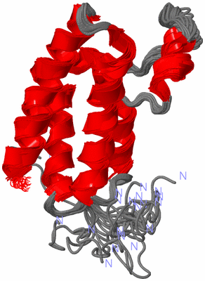 Image NMR Structure - all models