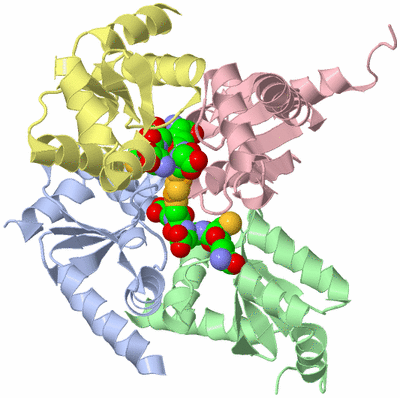 Image Biological Unit 1