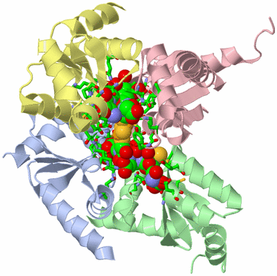 Image Biol. Unit 1 - sites