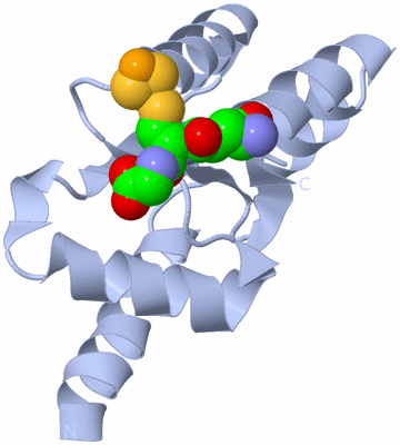 Image Biological Unit 2