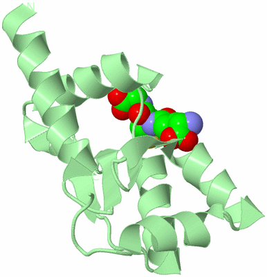 Image Biological Unit 3