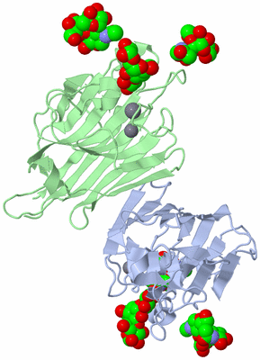 Image Biological Unit 1