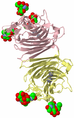 Image Biological Unit 2