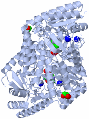 Image Biological Unit 1