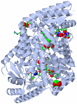 Image Biol. Unit 1 - sites