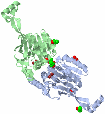 Image Asym./Biol. Unit